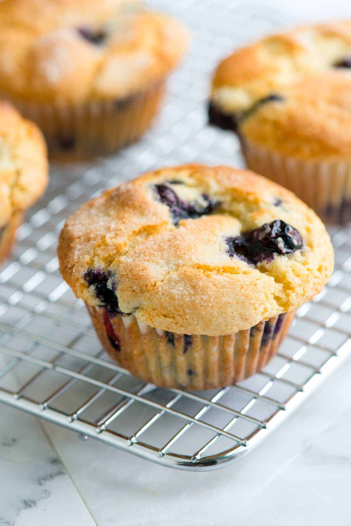 Homemade blueberry muffins