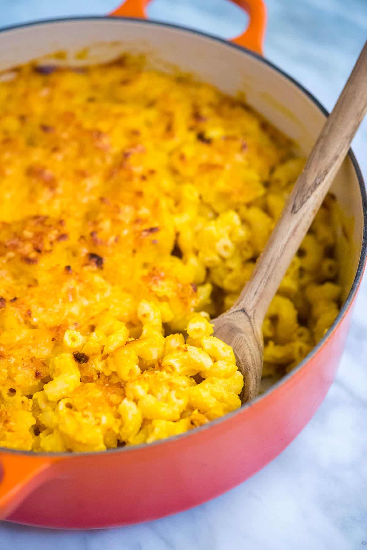 Creamy pumpkin mac and cheese